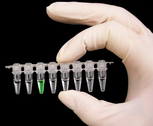 PCR tubes